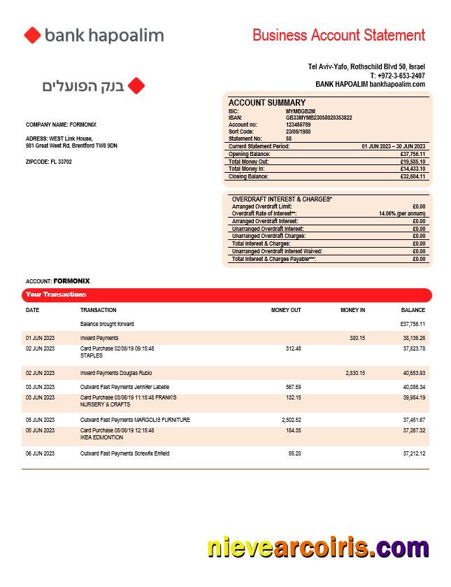 Bank Hapoalim firm account statement